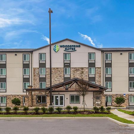 Woodspring Suites Tampa Airport North Veterans Expressway Eksteriør billede